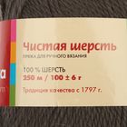 Пряжа "Чистая шерсть" 100% шерсть 250м/100гр (0214, маренго) - Фото 3