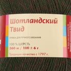 Пряжа "Шотландский твид" 100% шерсть 360м/100гр (1981, меланж) - Фото 3