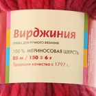 Пряжа "Вирджиния" 100% мериносовая шерсть 85м/150гр (4358, секционный) - Фото 3