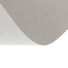 Картон хром-эрзац немелованный "Ладога", А4, 21 х 30 см, 250 г/м2, 0.3 мм - Фото 2