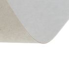 Картон хром-эрзац, А4 (21 х 30 см), 420 г/м2, "Ладога", немелованный, 0.6 мм - Фото 2