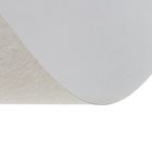 Картон белый А4, 100 листов, мелованный, плотность 240г/м2 - Фото 2