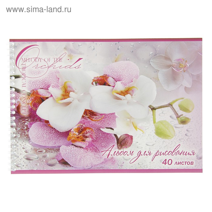 Альбом для рисования А4, 40 листов на гребне «Орхидеи», картонная обложка, ВД-лак, МИКС - Фото 1