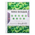 Файл - вкладыш Calligrata «Люкс», А4, 50 мкм, глянцевый, вертикальный, 100 штук - Фото 2