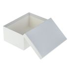Набор коробок 9в1 "Линии серебряные" 28,5 х 18 х 12 - 13 х 7,5 х 4 см - Фото 2