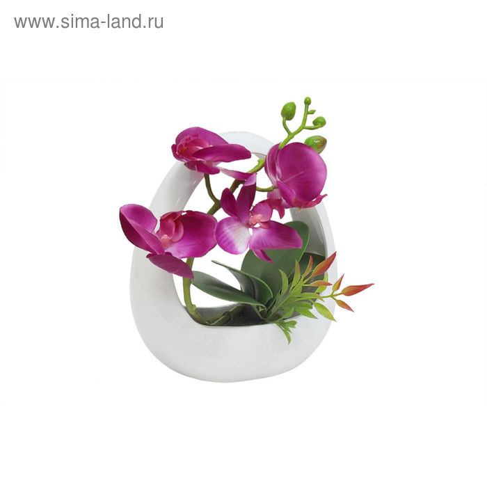 Декоративные цветы "Орхидея", тёмно-сиреневая, в керамической вазе - Фото 1