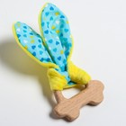 Развивающая игрушка-грызунок «Для маленьких принцесс», форма машинка - Фото 1