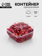 Контейнер одноразовый с неразъёмной крышкой ИП-9 А, пластик, 350 мл, 13×13×7.5 см, прозрачный - Фото 1