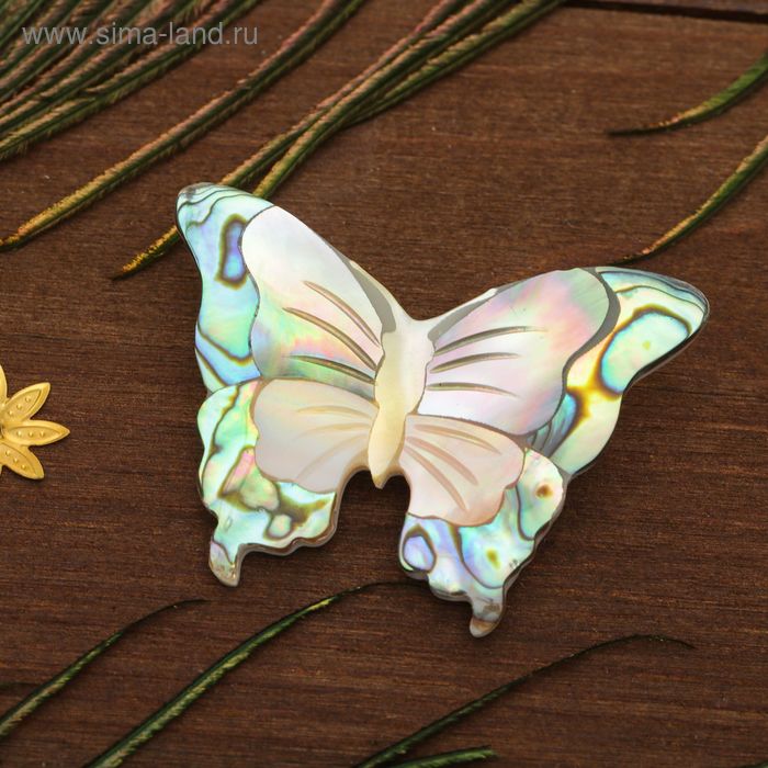 Брошь "Галиотис" бабочка крылатая - Фото 1