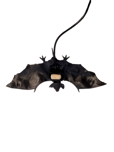 Прикол «Прыгающая летучая мышь»