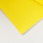 Фоамиран иранский, 0.8-1 мм, жёлтый/112, 60×70 см - Фото 2