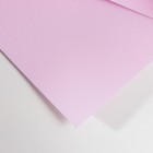 Фоамиран иранский 0,8-1 мм (светло-розовый/142) 60х70 см - Фото 2