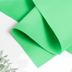 Фоамиран иранский, 0.8-1 мм, зелёное яблоко/171, 60×70 см - Фото 1