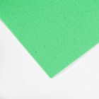 Фоамиран иранский, 0.8-1 мм, зелёное яблоко/171, 60×70 см - Фото 2