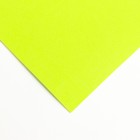 Фоамиран иранский 0,8-1 мм (жёлто-зелёный) 60х70 см - Фото 2