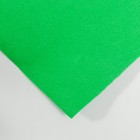 Фоамиран иранский 0,8-1 мм (зелёный лайм) 60х70 см - Фото 2