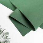 Фоамиран иранский, 0.8-1 мм, тёмно-зелёный, 60×70 см - Фото 1