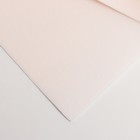 Фоамиран иранский 0,8-1 мм (туманно-розовый) 60х70 см - Фото 2