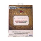 Обувь домашняя мужская "Хозяину дома", размер 40/41 - Фото 6