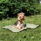 Охлаждающий коврик для собак, размер 50 х 70 см - Фото 2