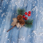 Еловая ветка декоративная «Зимнее волшебство. Мечты», 13 см 2334975