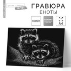 Гравюра «Еноты» с металлическим эффектом «серебро» А4 - фото 10266175