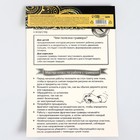 Гравюра «Сокол» с металлическим эффектом золота А4 (комплект 2 шт) - фото 24546291