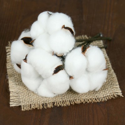 Декор сухоцвет «Хлопок», h=8 см, d=5 см