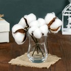 Декор сухоцвет «Хлопок», h=8 см, d=5 см - Фото 3
