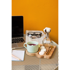 Декор сухоцвет «Хлопок», h=8 см, d=5 см - Фото 4