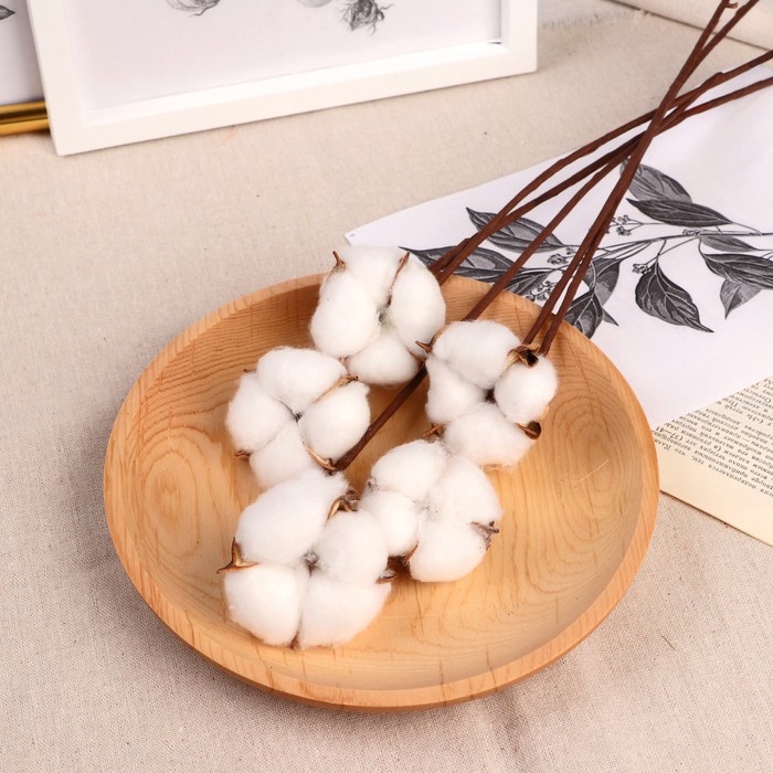 Декор сухоцвет «Хлопок», h=30 см, d=5 см, белый - Фото 1