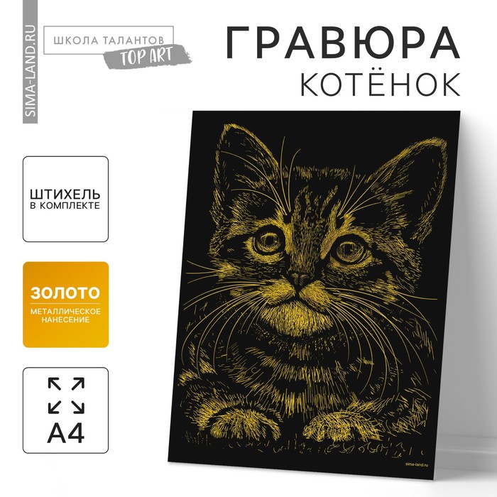 Гравюра «Котёнок» с металлическим эффектом «золото» А4 - Фото 1