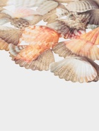 Решётка в раковину круглая Доляна «Ракушки», 28×28 см  (артикул 2353241)  большой выбор товаров оптом и в розницу по низким ценам с доставкой