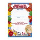 Грамота школьная на 1 сентября «Свидетельство первоклассника», А5, 157 г/м?. (комплект 40 шт) - фото 25302731