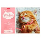 Альбом для рисования А4, 20 листов на скрепке "Котята", обложка мелованный картон, блок 100 г/м2, МИКС - Фото 2
