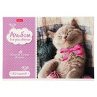 Альбом для рисования А4, 20 листов на скрепке "Котята", обложка мелованный картон, блок 100 г/м2, МИКС - Фото 5