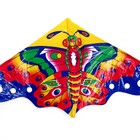 Воздушный змей «Цветная бабочка», с леской - фото 3450588