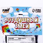 Воздушный змей «Орёл в полете», с леской - фото 809432979