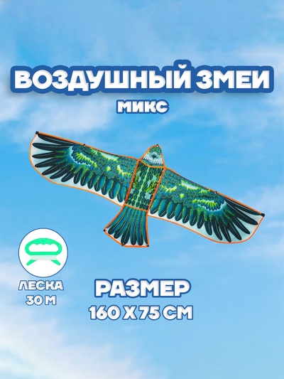 Воздушный змей «Орёл в полете», с леской, цвета МИКС