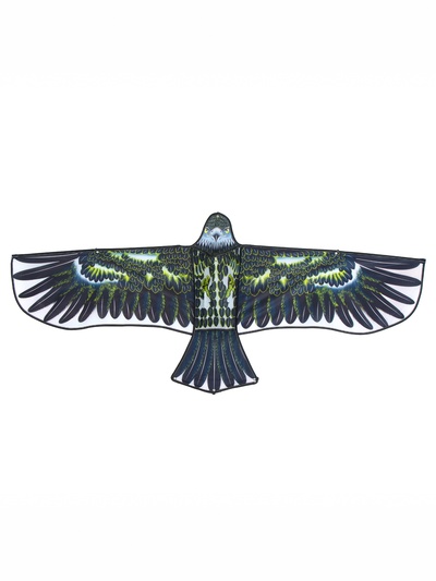 Воздушный змей «Орёл в полете», с леской, цвета МИКС