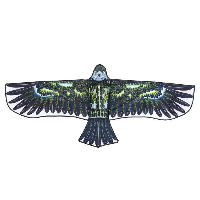 Воздушный змей «Орёл в полете», с леской, цвета МИКС - фото 1905310501