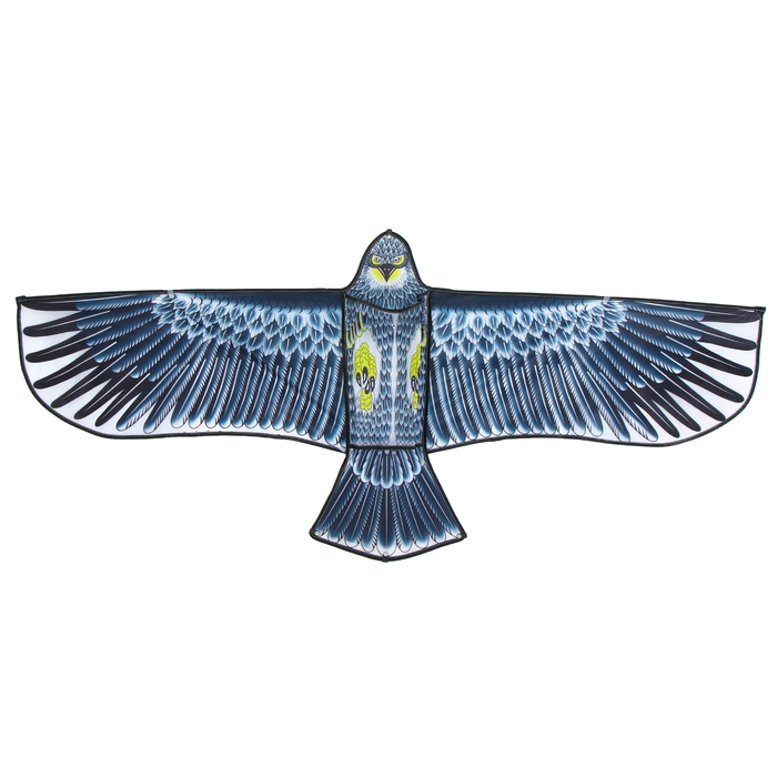 Воздушный змей «Орёл в полете», с леской, цвета МИКС - фото 1905310502