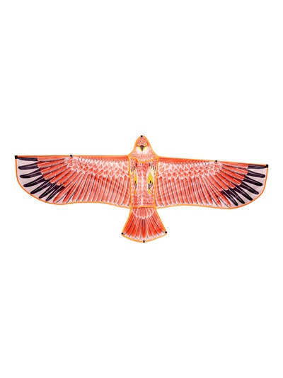 Воздушный змей «Орёл в полете», с леской, цвета МИКС