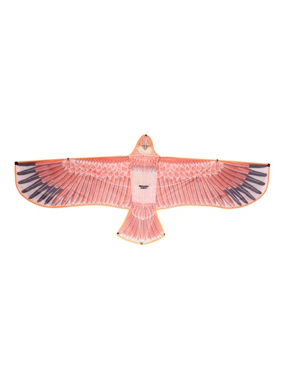 Воздушный змей «Орёл в полете», с леской, цвета МИКС