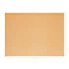 Картон цветной "Ладога", плотность 220 г/м2, формат А3, оранжевый - Фото 1