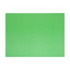 Картон мелованный цветной "Нева", плотность 350 г/м2, формат А3, зеленый - Фото 1