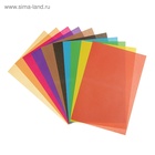 Бумага цветная А4, 10 листов, 10 цветов, газетная, в папке - фото 119521606
