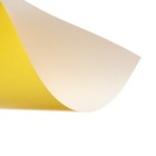 Бумага цветная А4, 10 листов, 10 цветов, газетная, в папке - фото 119521607