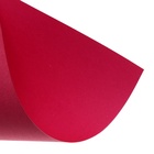 Картон цветной двусторонний Calligrata «Слон и тигр», А4, 8 листов, 8 цветов, матовый, немелованный - Фото 8