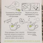 Растущие подарочные карандаши "Альпийские луга" набор 3 шт. черные 2703605 - фото 869416